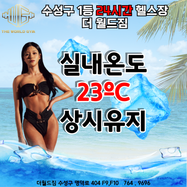 더월드짐 이미지