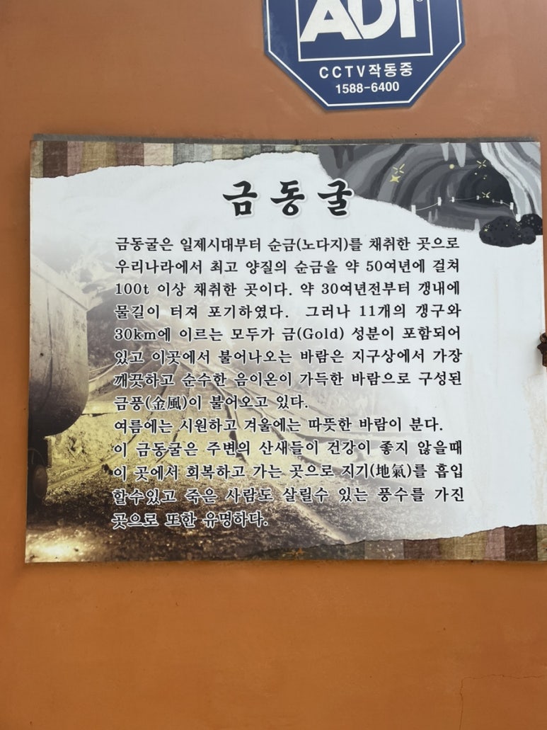 금동백숙 이미지