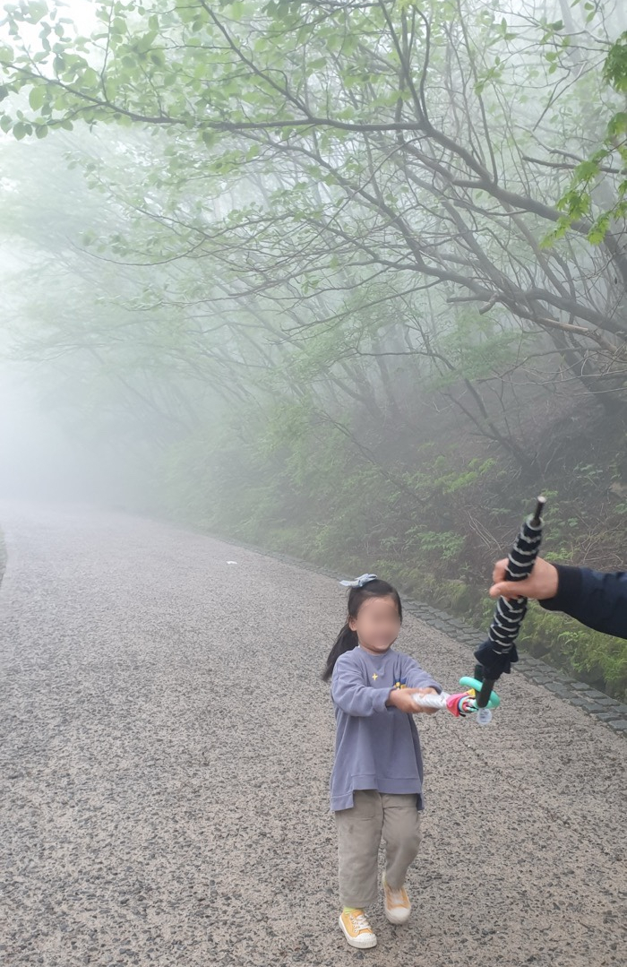 지리산청과 이미지