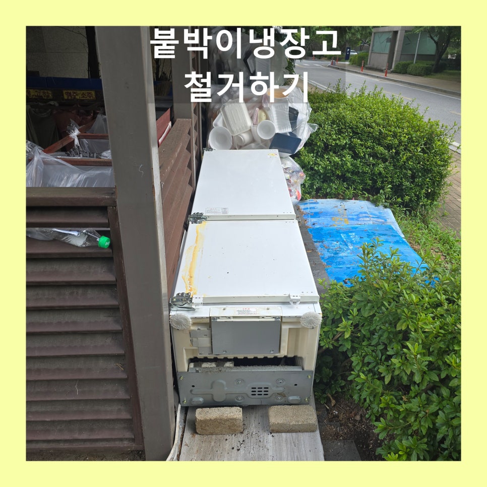 데이비드리페어 이미지