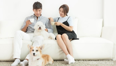 랜탑 이미지