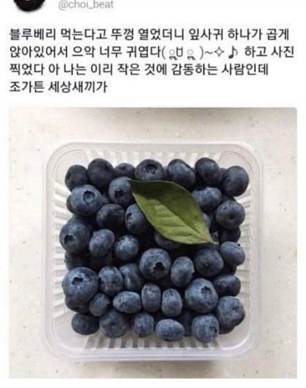 솥정원 사진 3