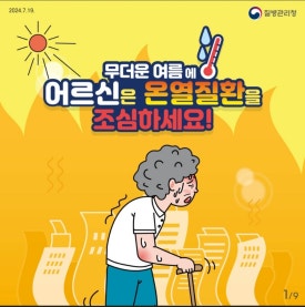 골든파인트리 이미지