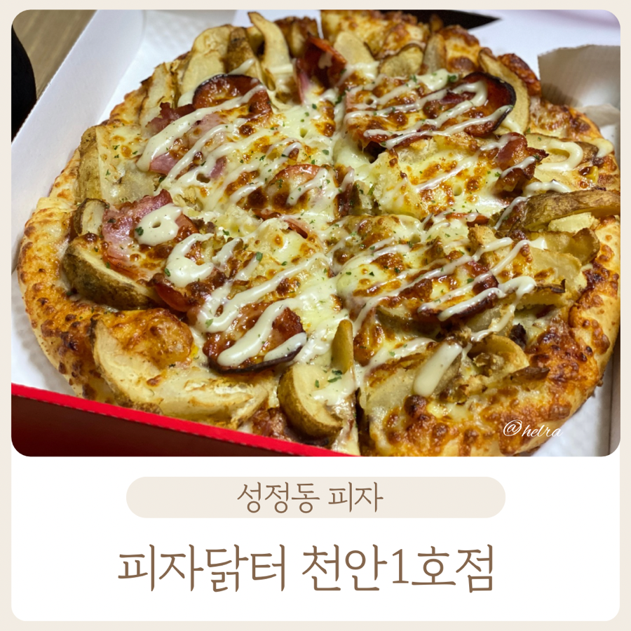 피자닭터 이미지