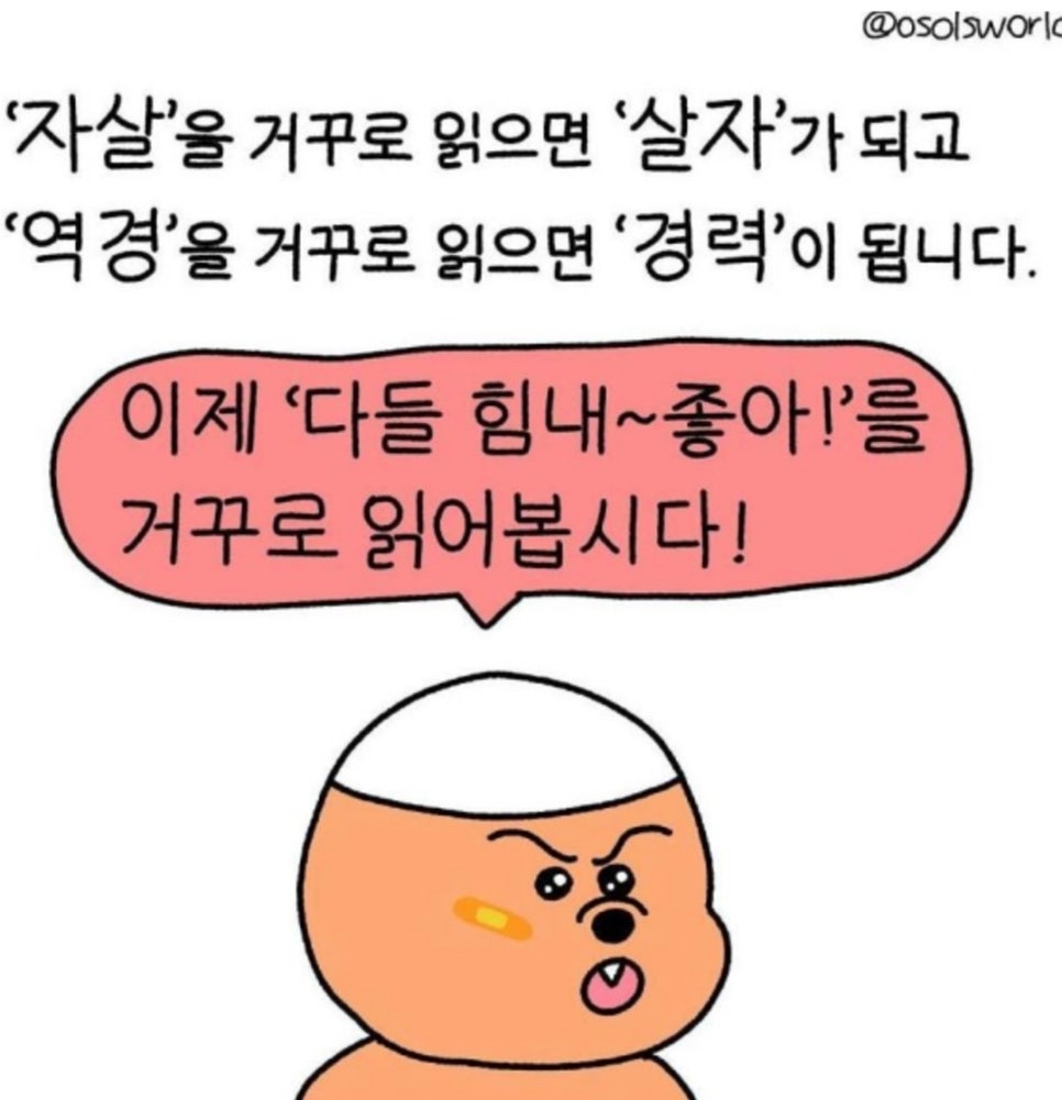 조박사 이미지