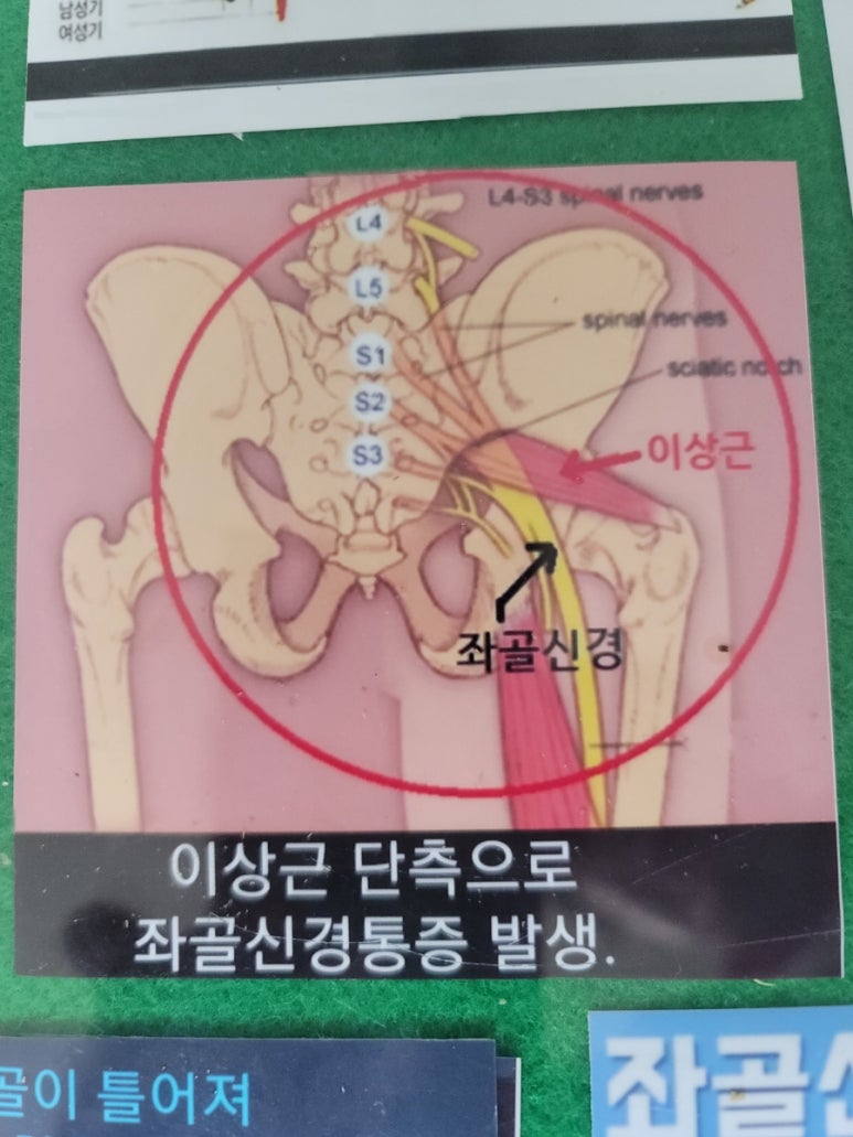 수체형관리센터 이미지