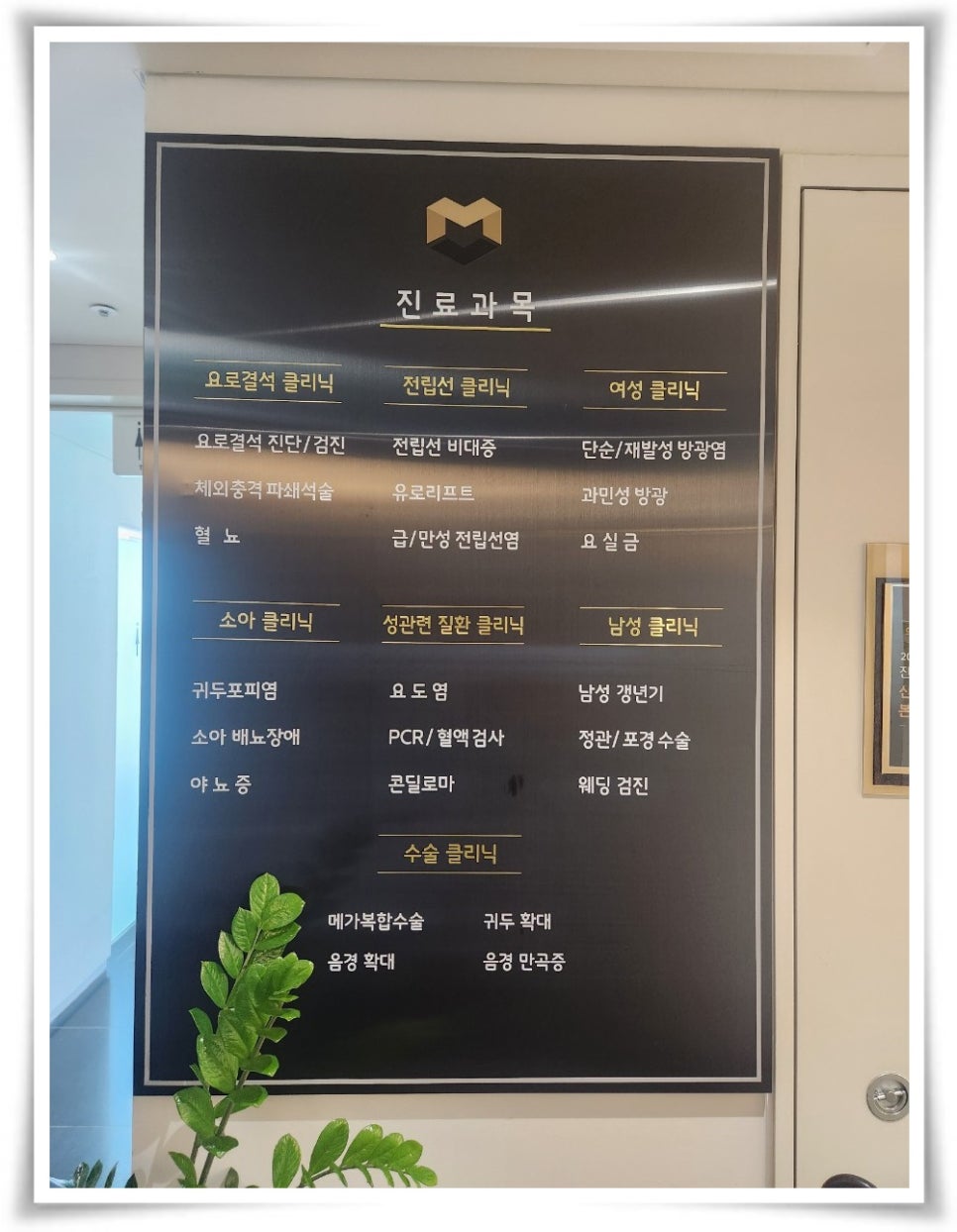 메가비뇨의학과 이미지