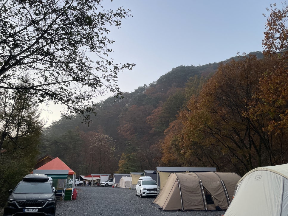 208덕동캠핑장 이미지