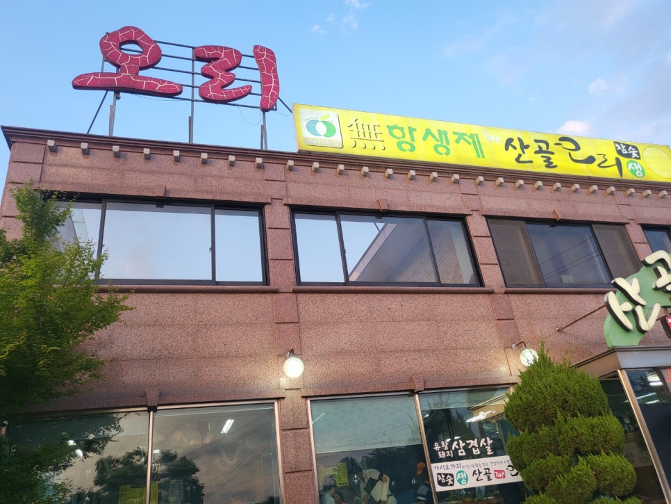 산골오리 이미지
