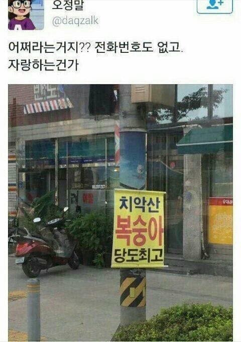참새들의방앗간 이미지