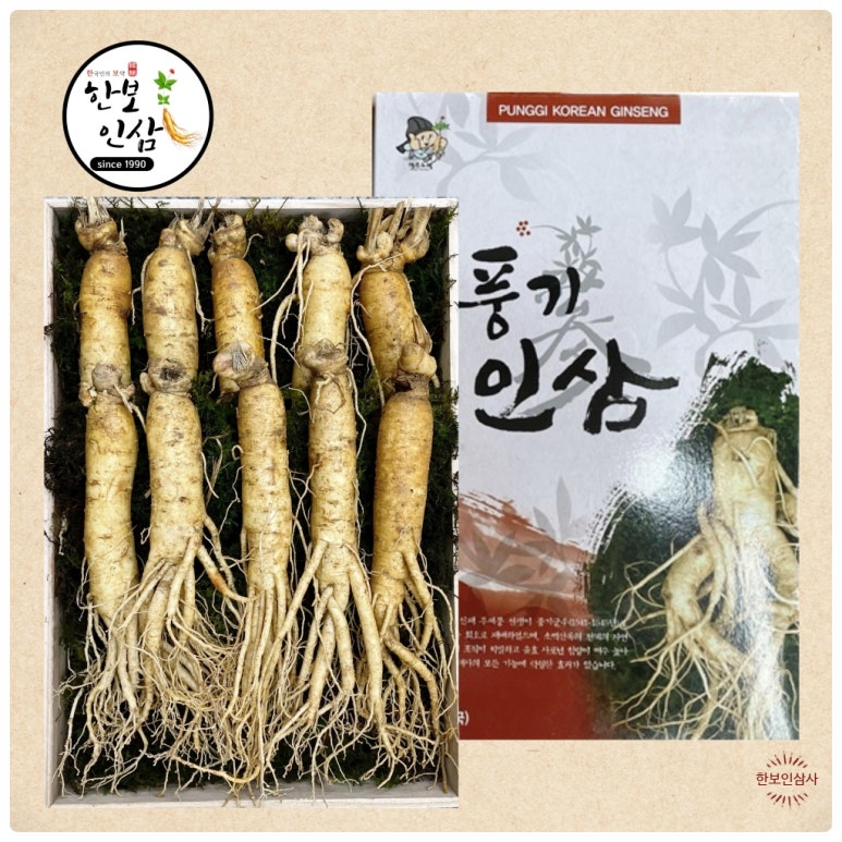 풍기인삼시장 한보인삼사 이미지