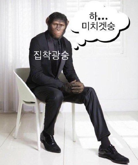 주명 이미지