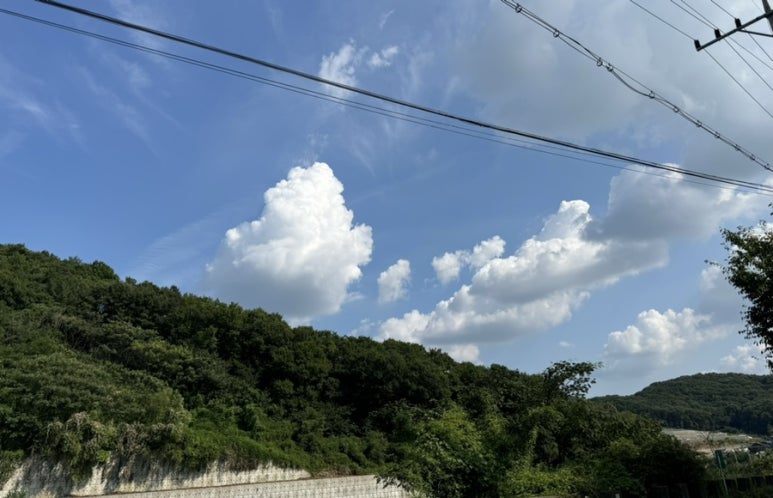 카페피아체레 이미지