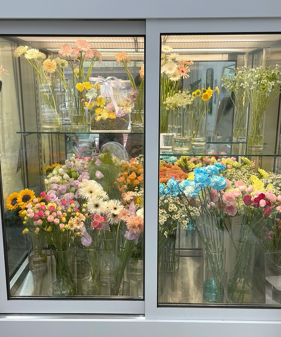 디어로즈무드 이미지