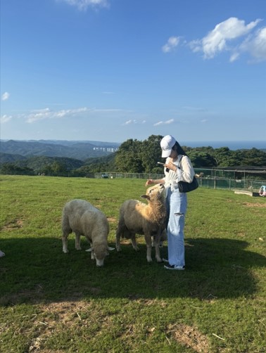 법인울산양떼목장 이미지