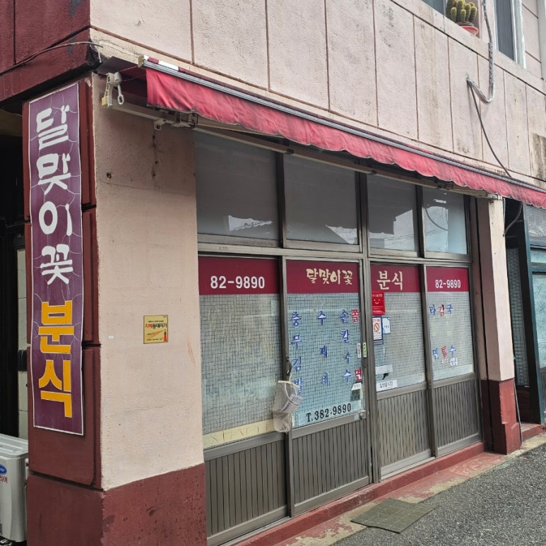 달맞이꽃 분식 이미지