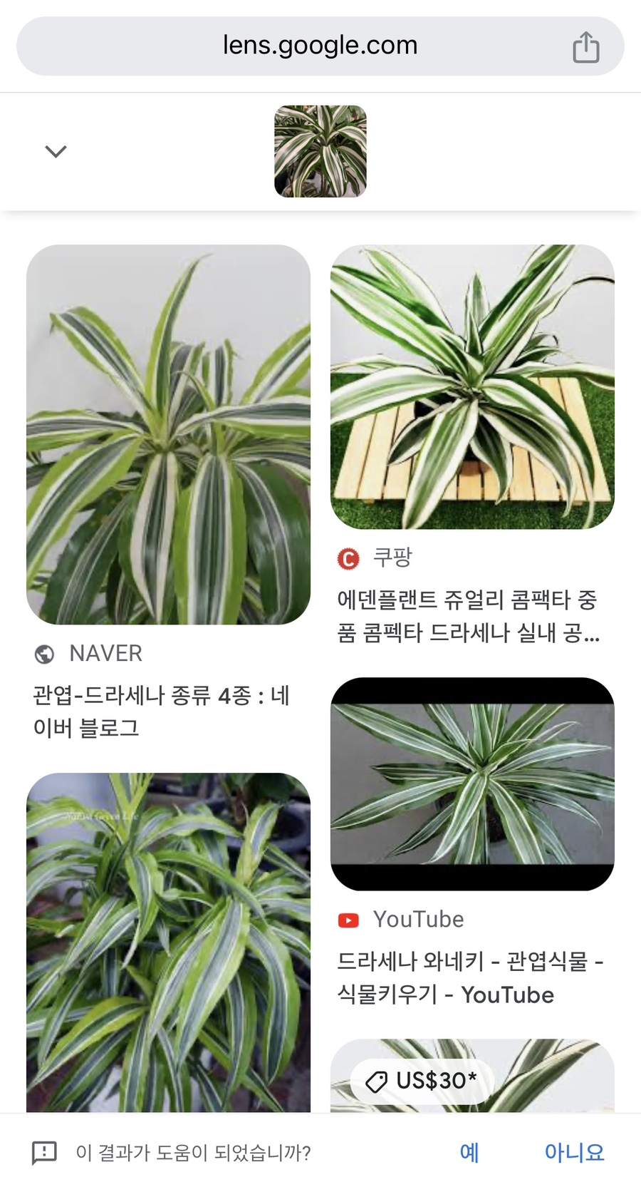 호야쥬얼리 이미지