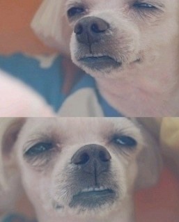 스무살에머물다 이미지