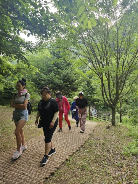 소소우아 이미지
