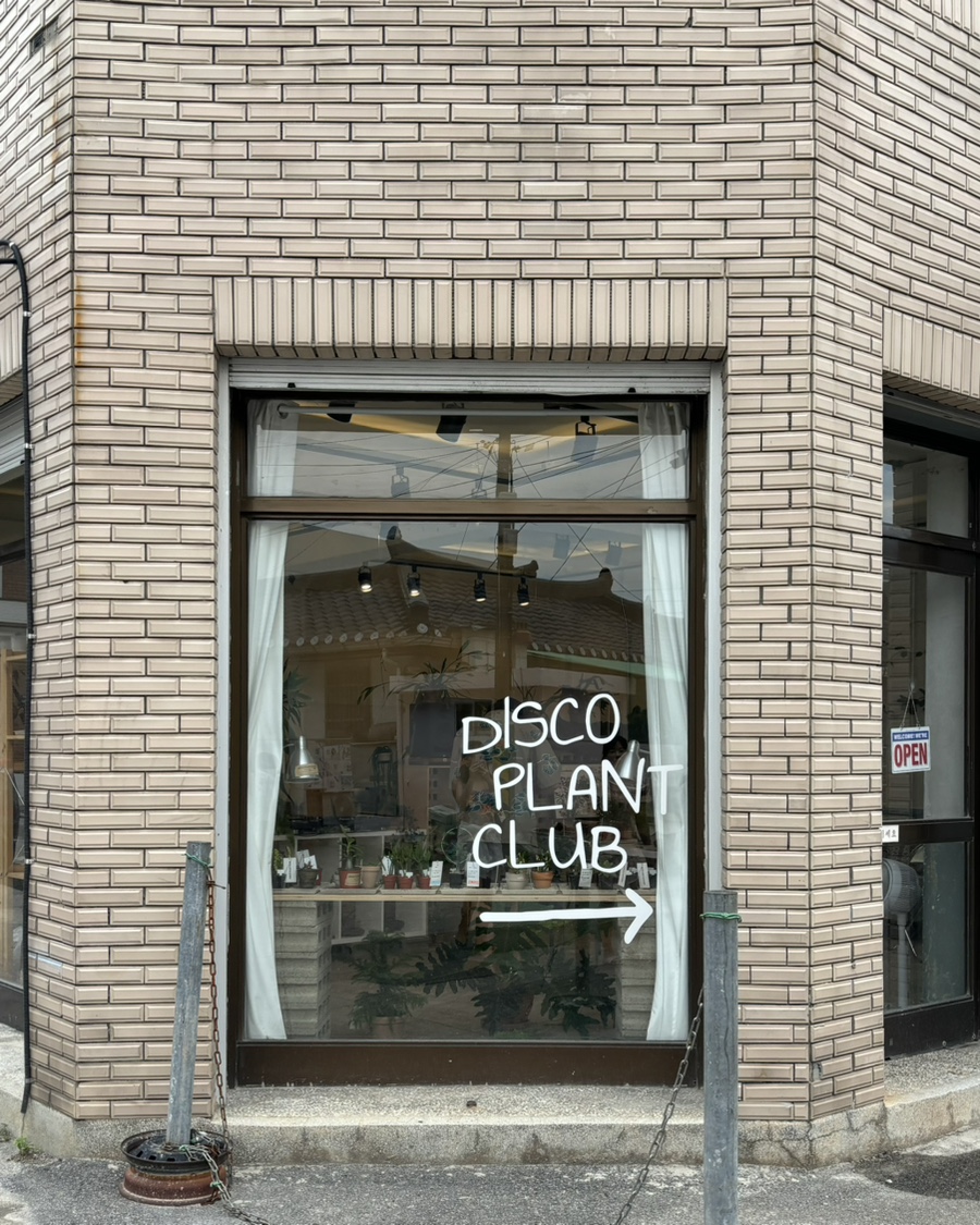 디스코플랜트클럽 이미지