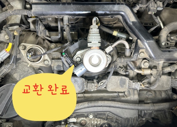 모터넷 이미지