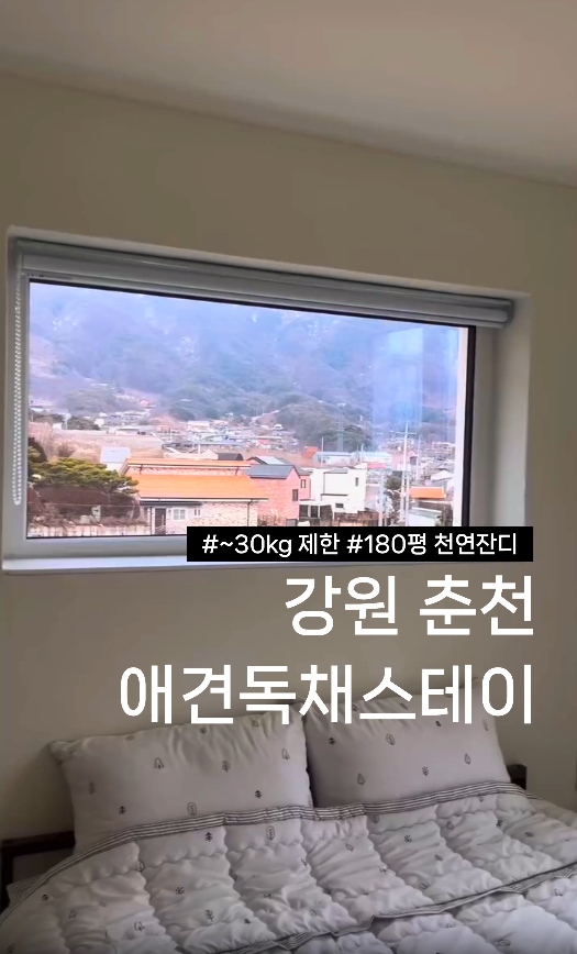 스테이루비 이미지