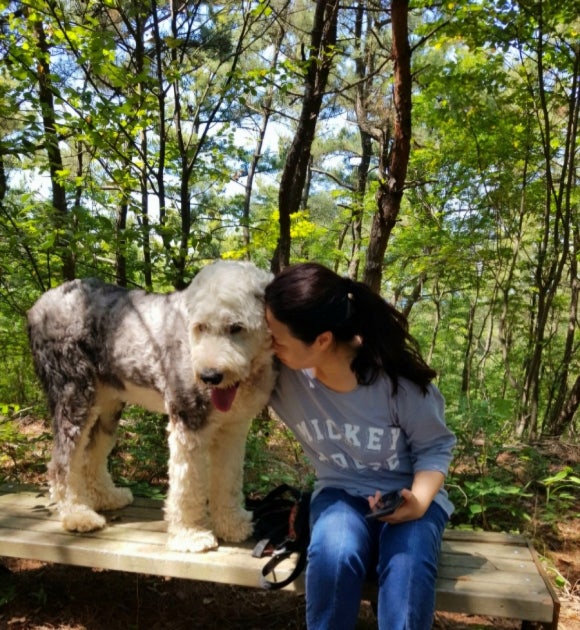 토군 이미지