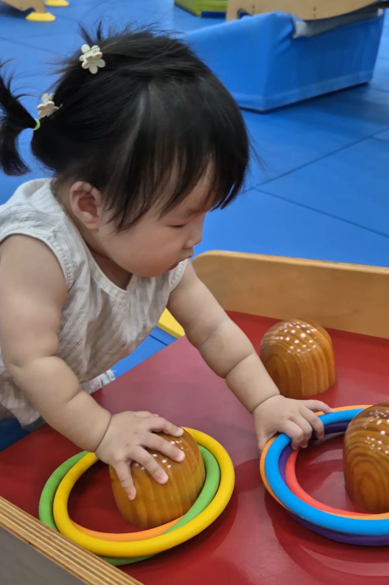 월성짐보리 이미지