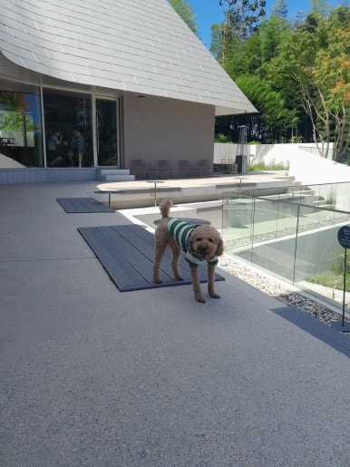 성림포레스트 이미지