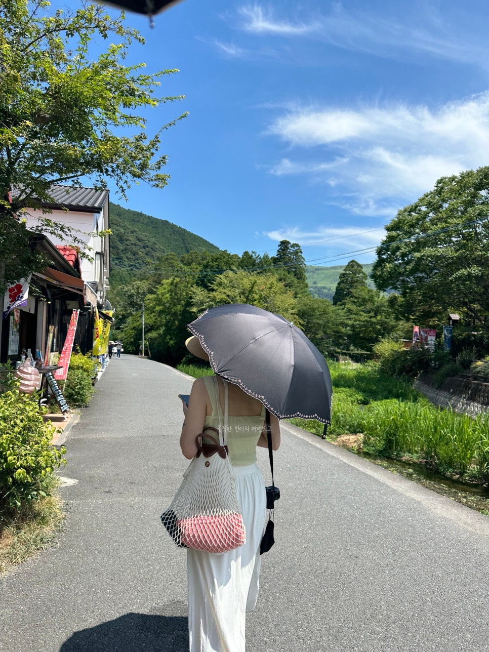 샵아이스크림호수 이미지