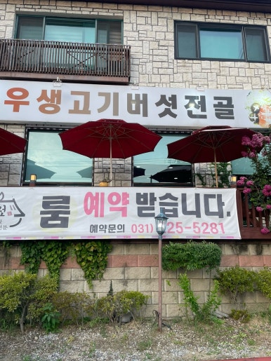 소랑버섯 이미지