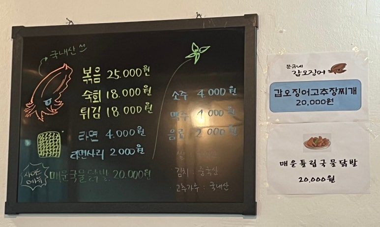 문규네갑오징어 이미지