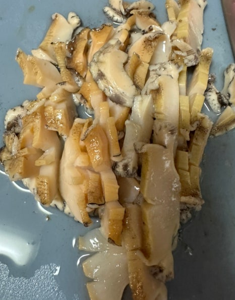 완도바다영어조합법인 이미지