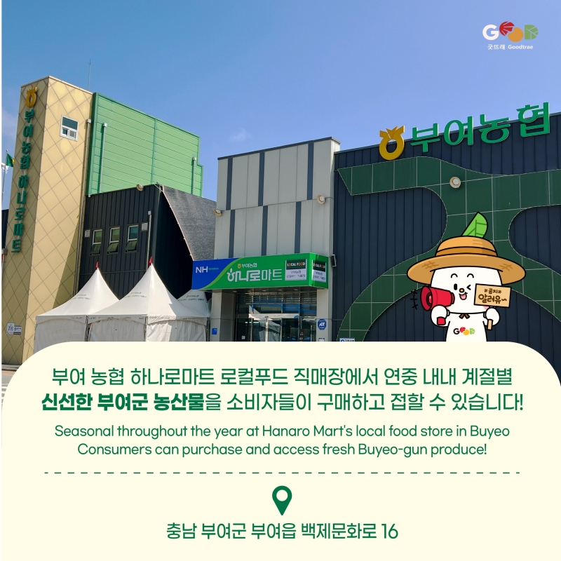 규암농협 하나로마트 이미지