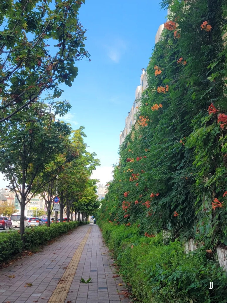 행복한민화공방 이미지