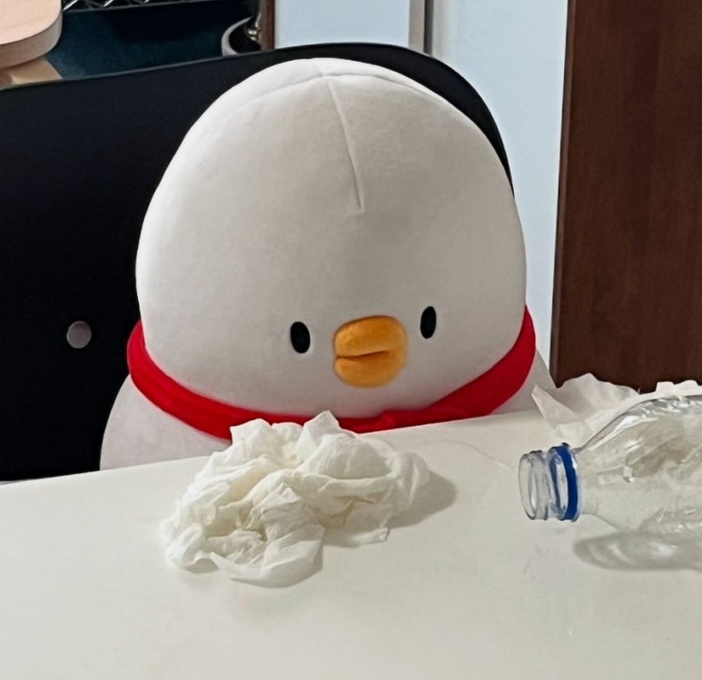 타오름달 이미지