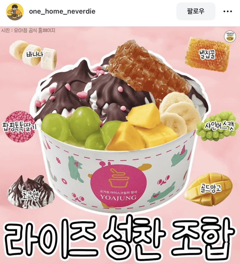 요거트아이스크림의정석 이미지