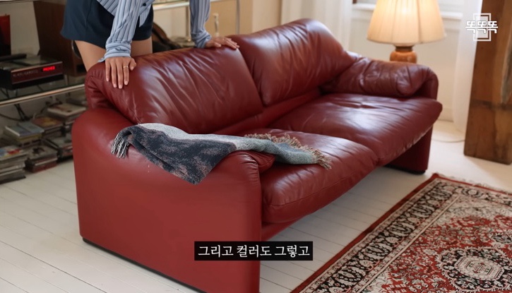 노하우스 이미지