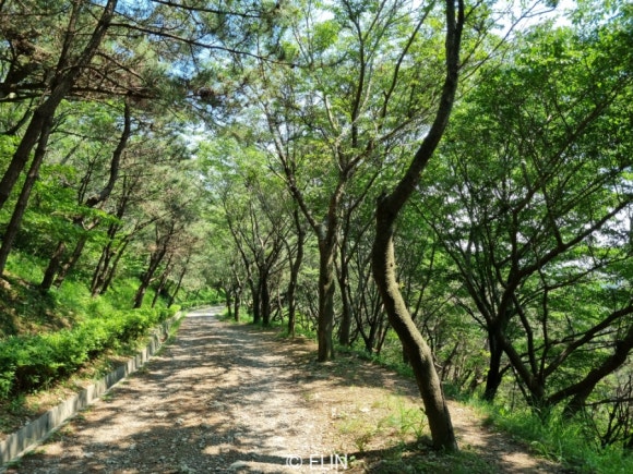정상에 다다르는 길 이미지