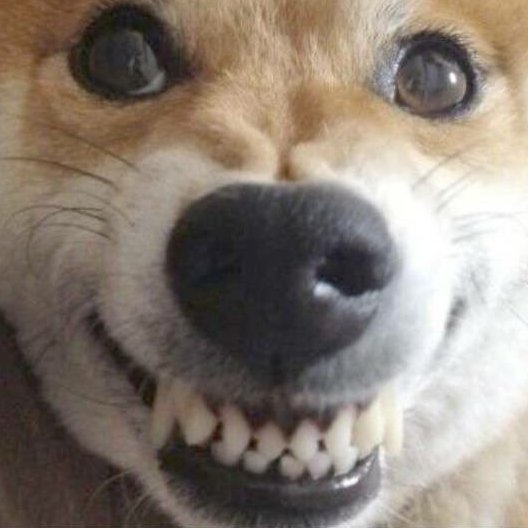 하여가 이미지