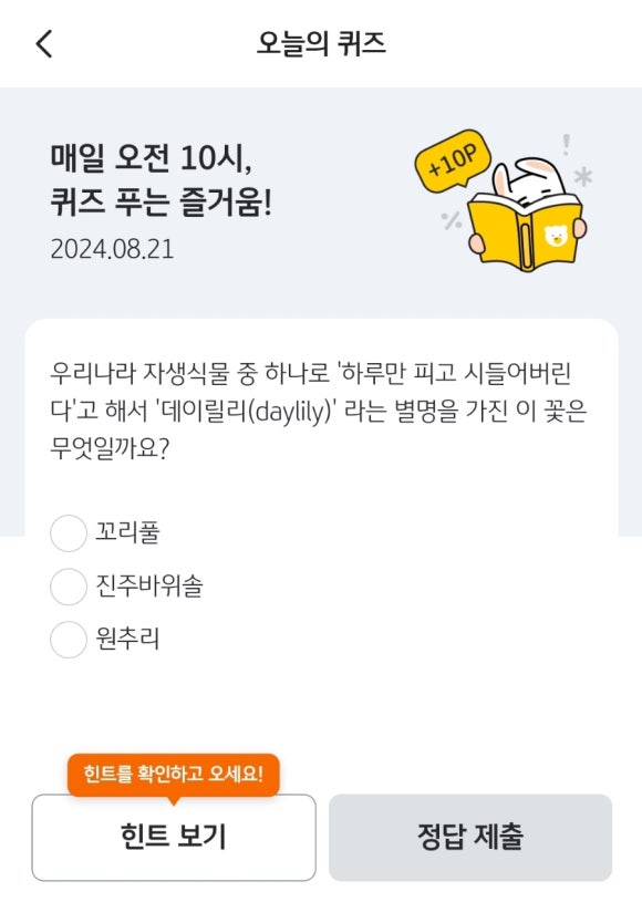 오늘, 꽃데이 이미지