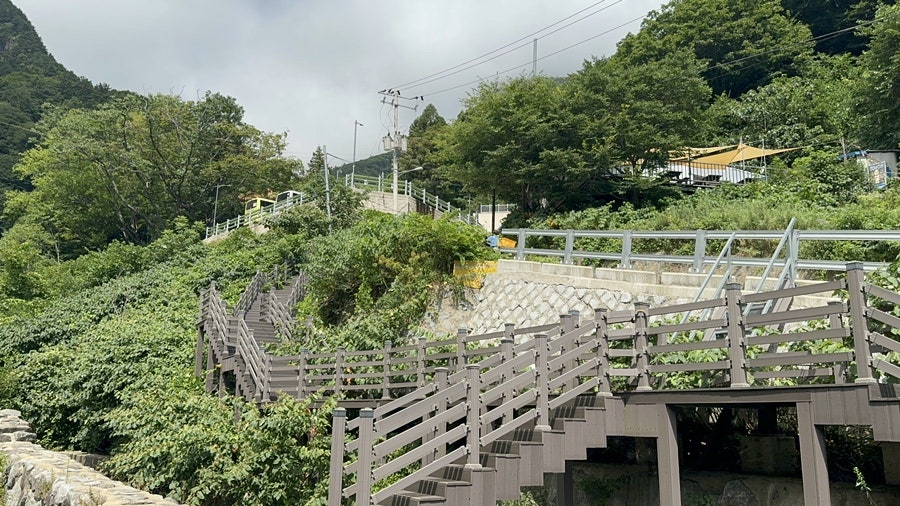 울릉도특산품직판장 이미지