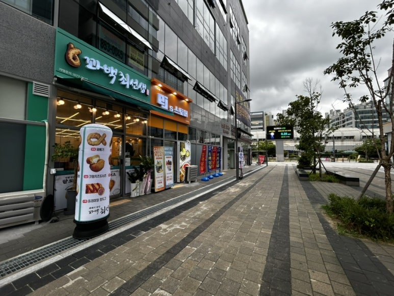 꽈백 최선생 이미지