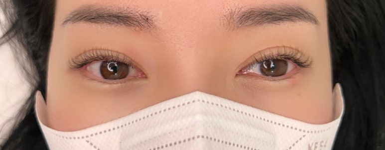 르네41 이미지