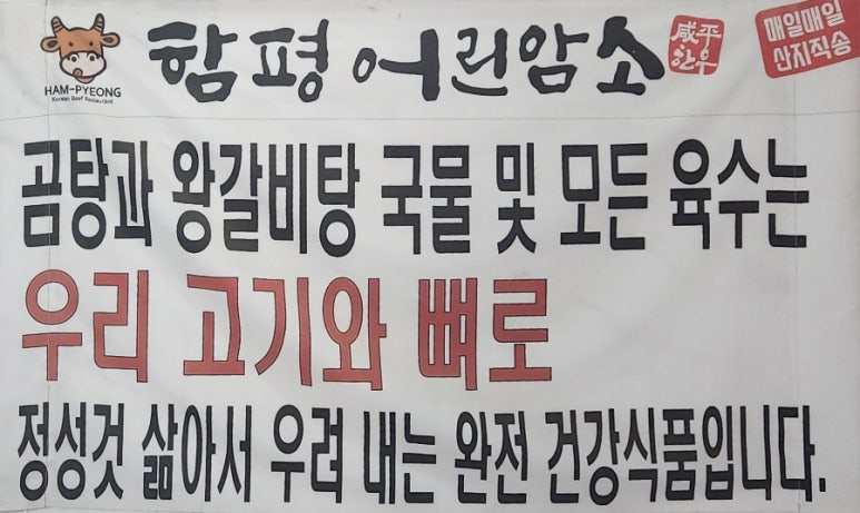 함평어린암소 이미지