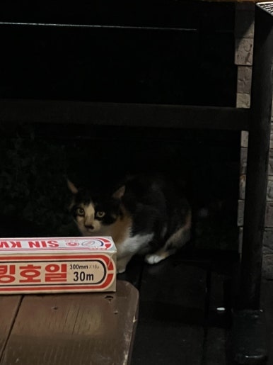 태정미디어 이미지