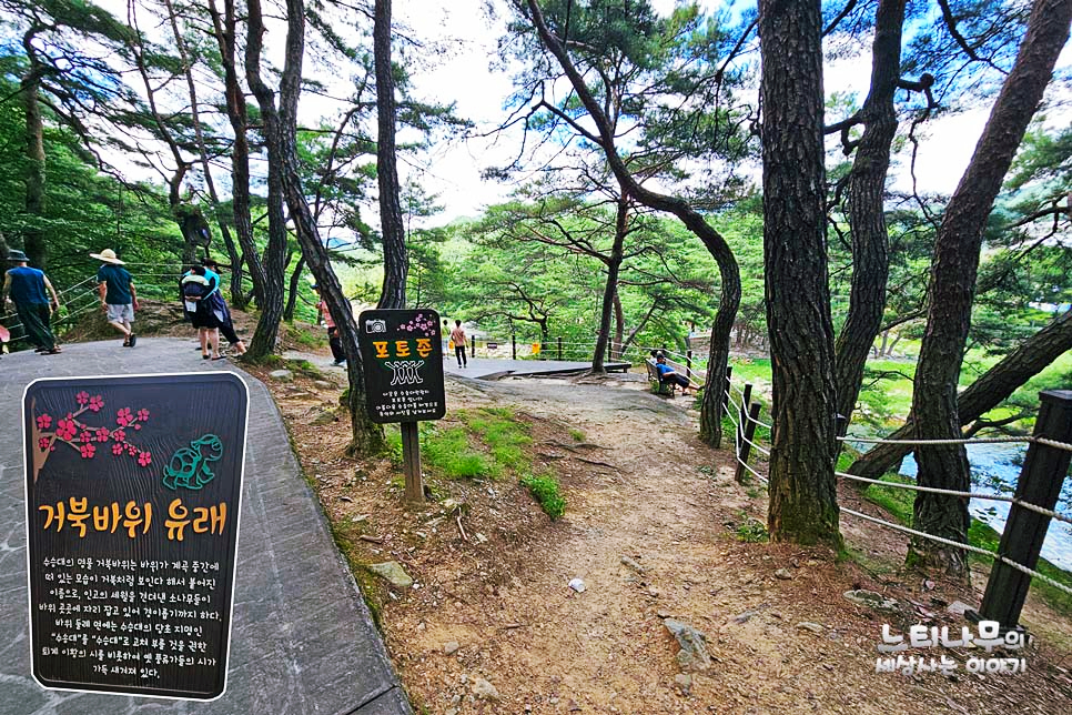 바위 포토죤 이미지