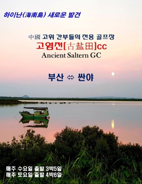 고 해피투어 이미지