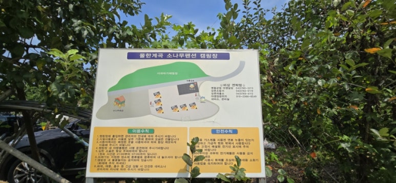 물한계곡소나무펜션캠핑장 이미지