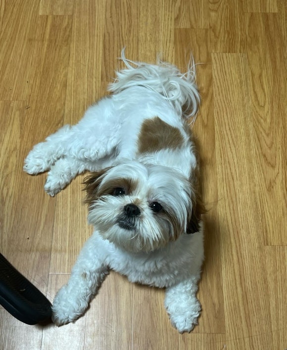 봉순이밥상 이미지